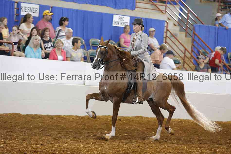 Proof Number 14r12_6058