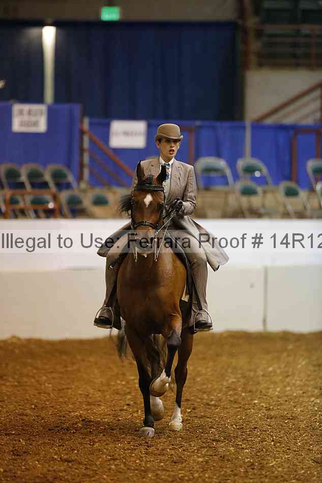 Proof Number 14r12_6059