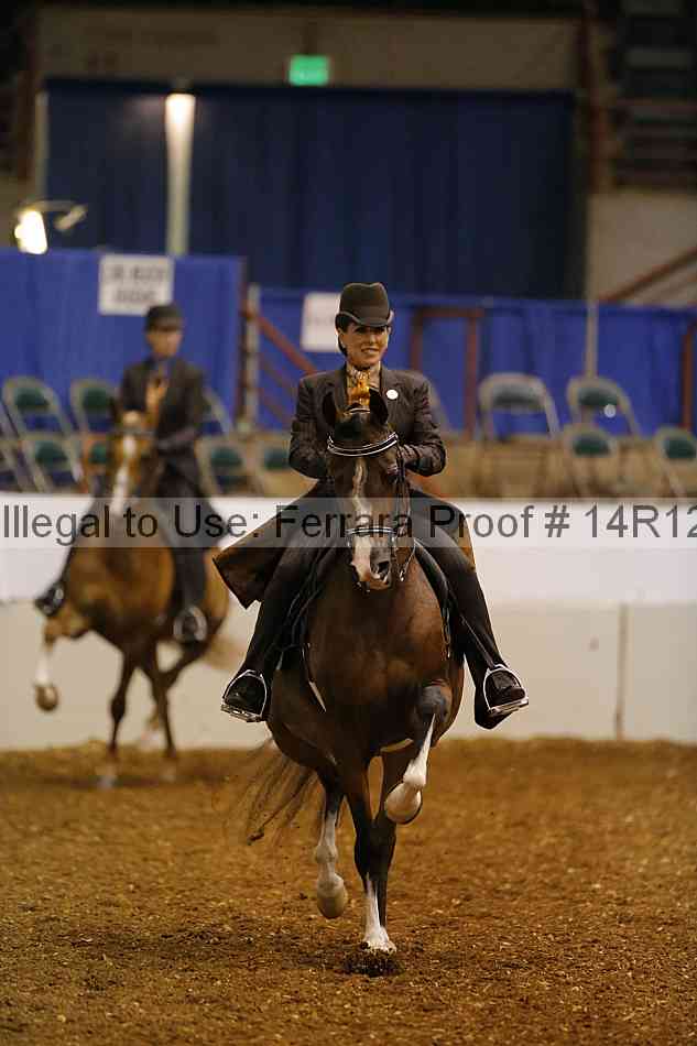 Proof Number 14r12_6063