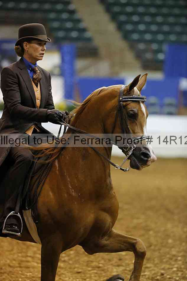 Proof Number 14r12_6069