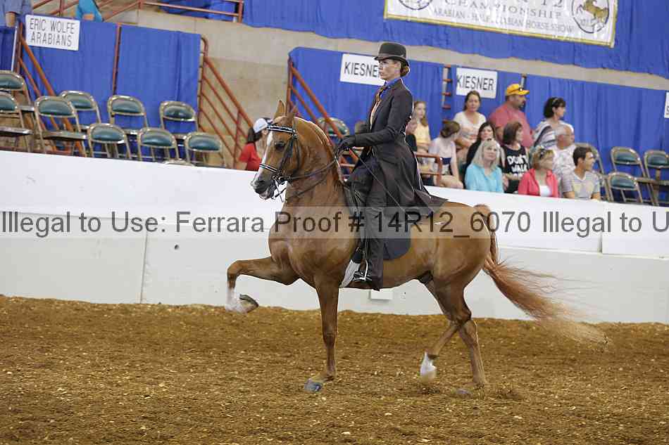 Proof Number 14r12_6070