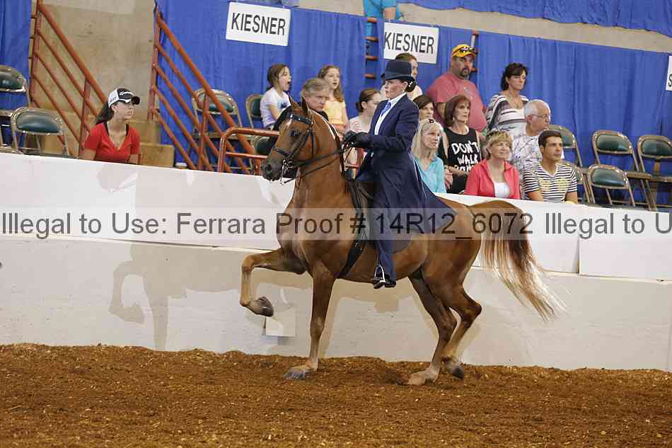 Proof Number 14r12_6072