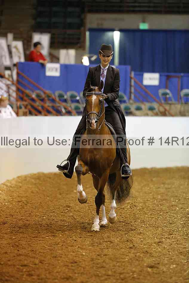 Proof Number 14r12_6073