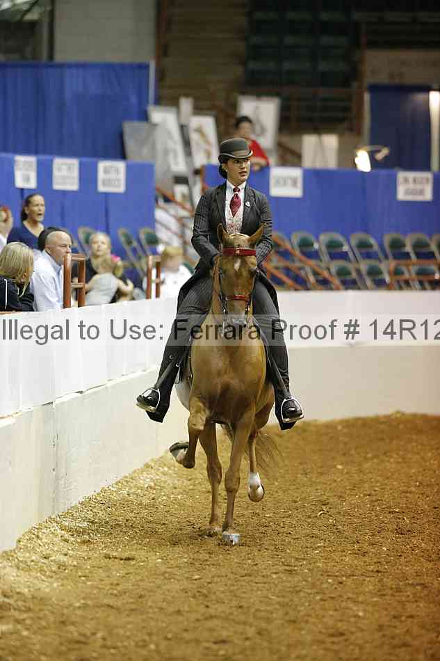 Proof Number 14r12_6074