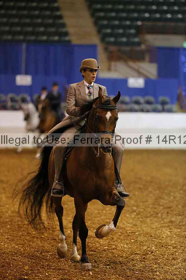 Proof Number 14r12_6075
