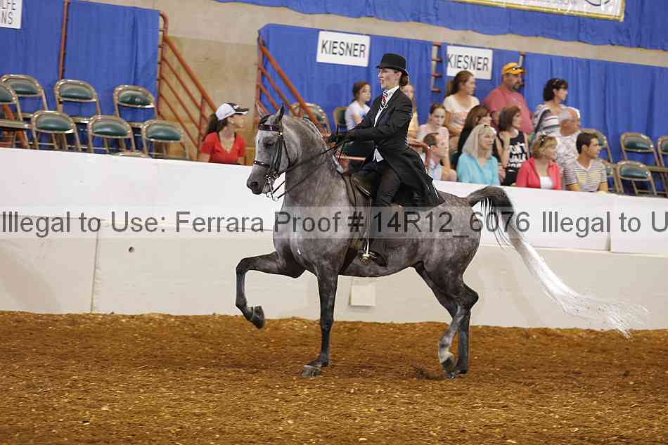 Proof Number 14r12_6076