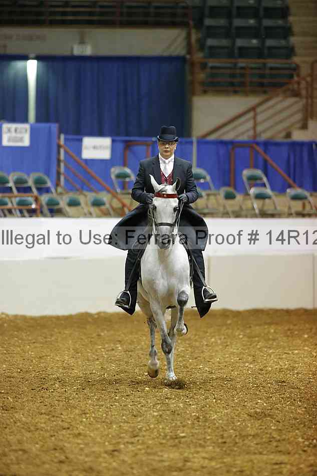 Proof Number 14r12_6078
