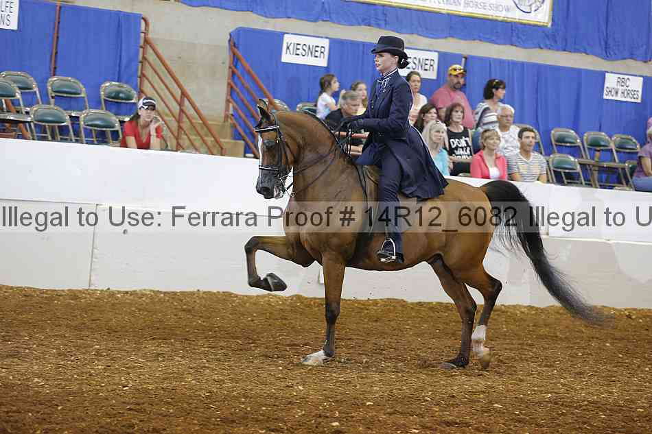 Proof Number 14r12_6082