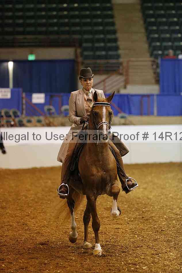 Proof Number 14r12_6083
