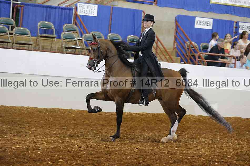 Proof Number 14r12_6084
