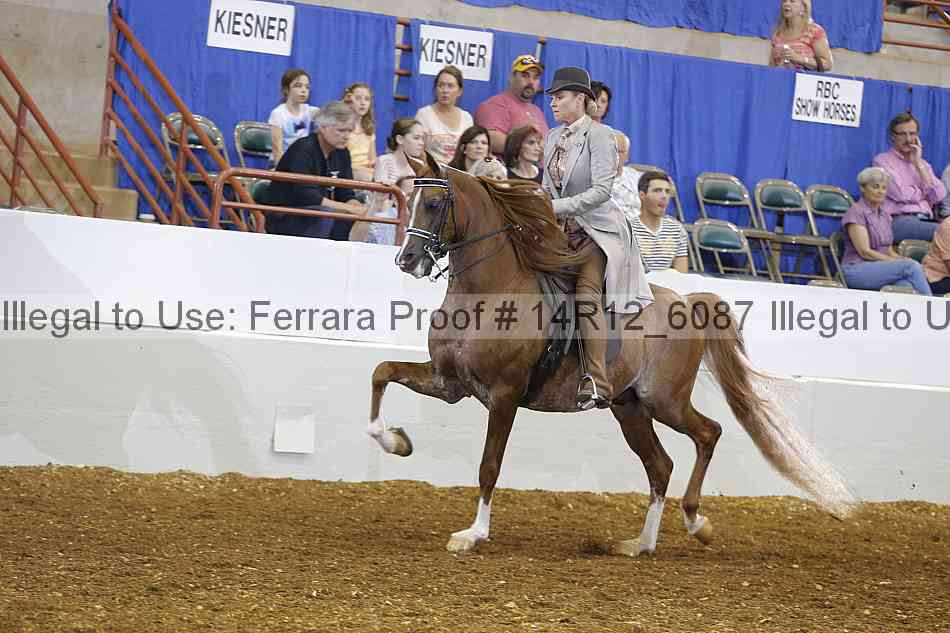 Proof Number 14r12_6087