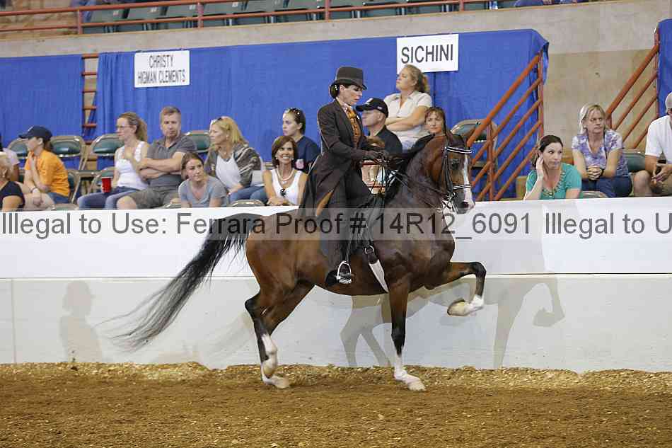 Proof Number 14r12_6091