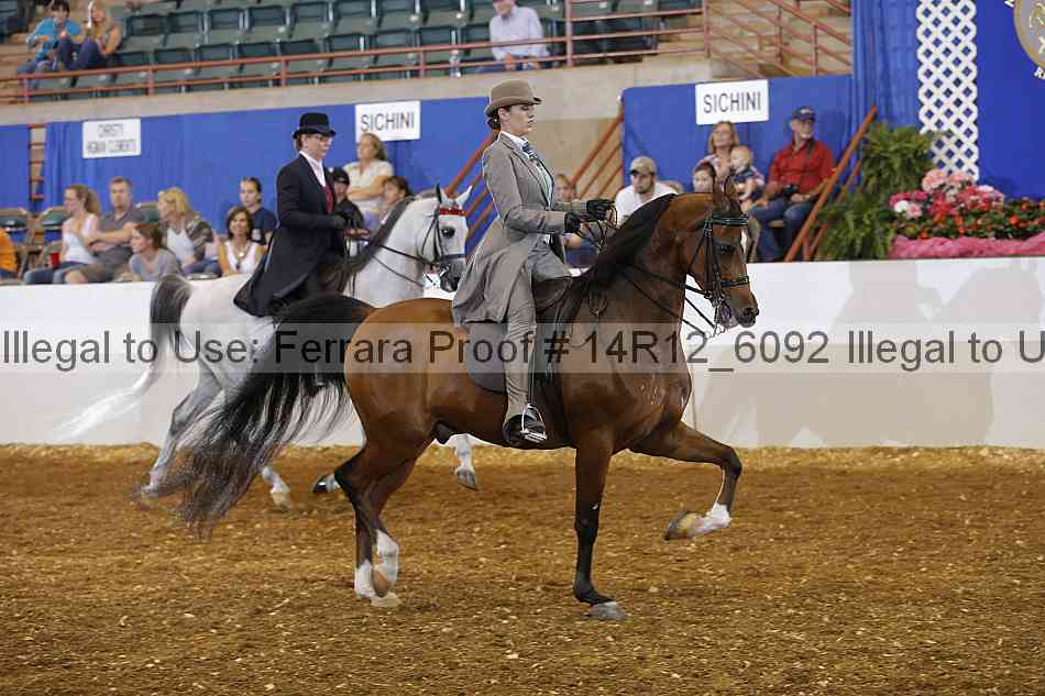 Proof Number 14r12_6092