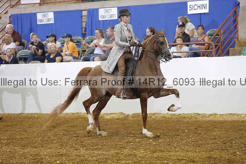 Proof Number 14r12_6093