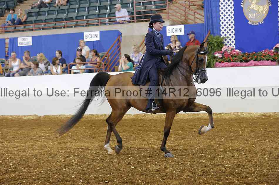 Proof Number 14r12_6096
