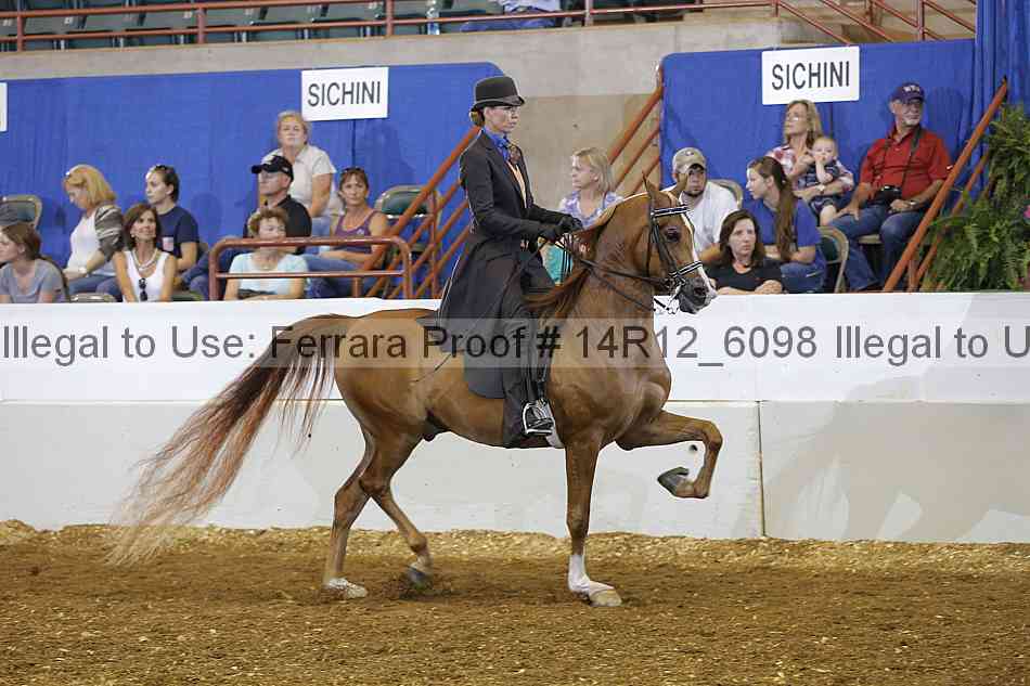 Proof Number 14r12_6098
