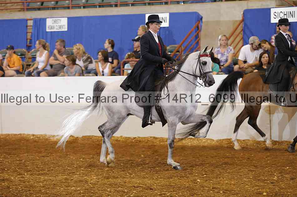 Proof Number 14r12_6099