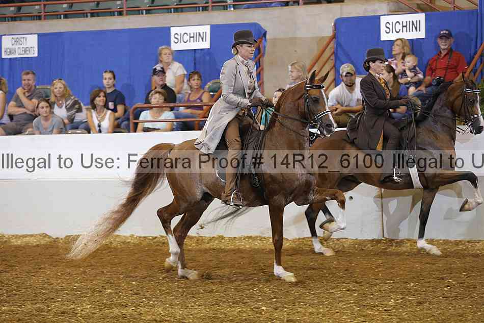 Proof Number 14r12_6100