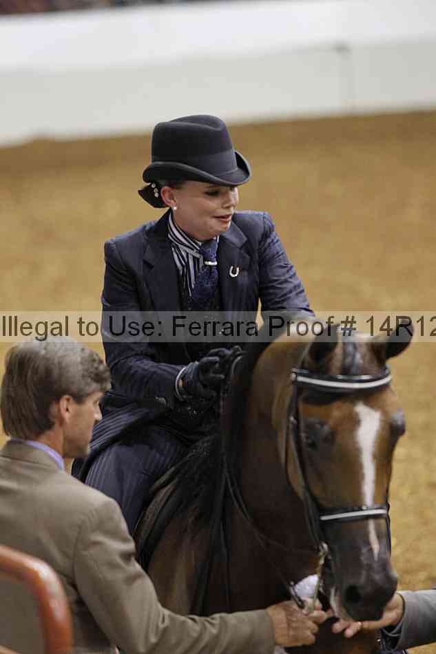 Proof Number 14r12_6102