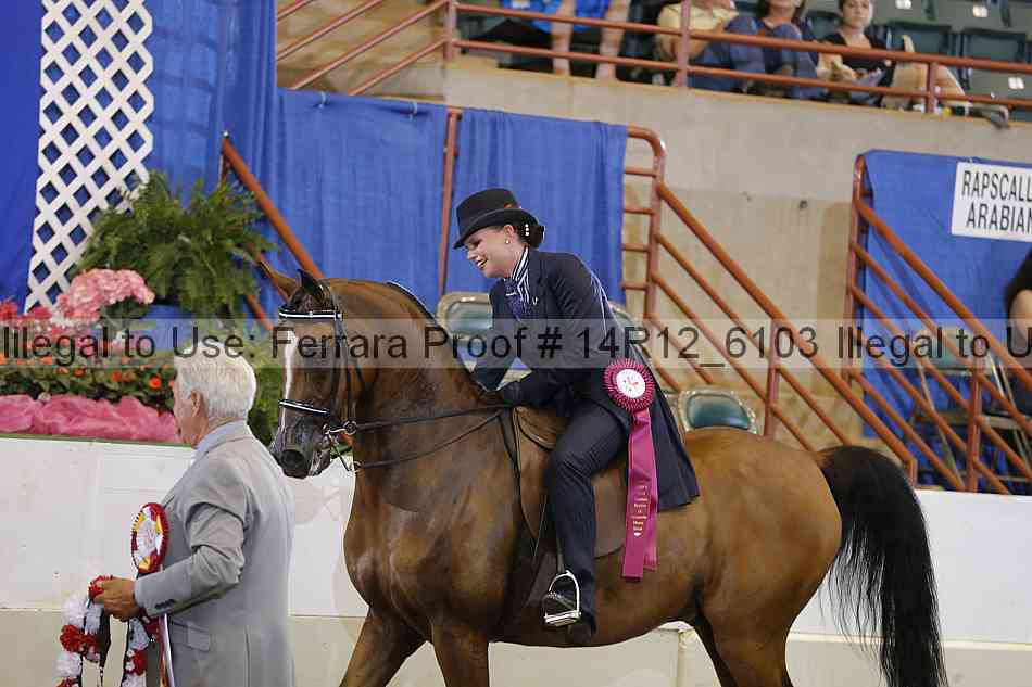 Proof Number 14r12_6103