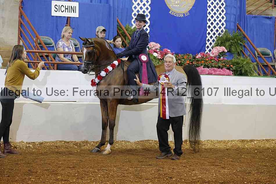 Proof Number 14r12_6107