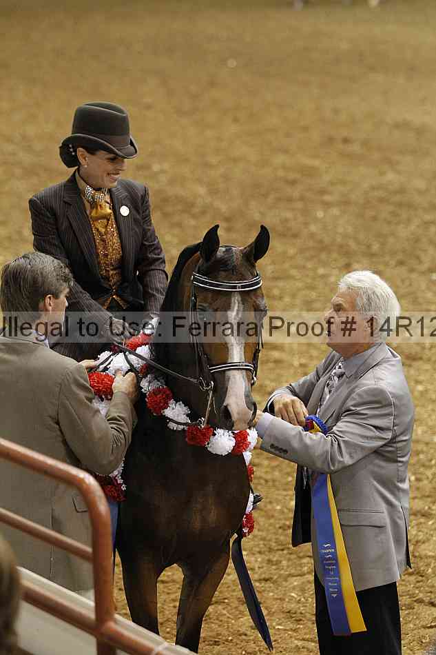 Proof Number 14r12_6115