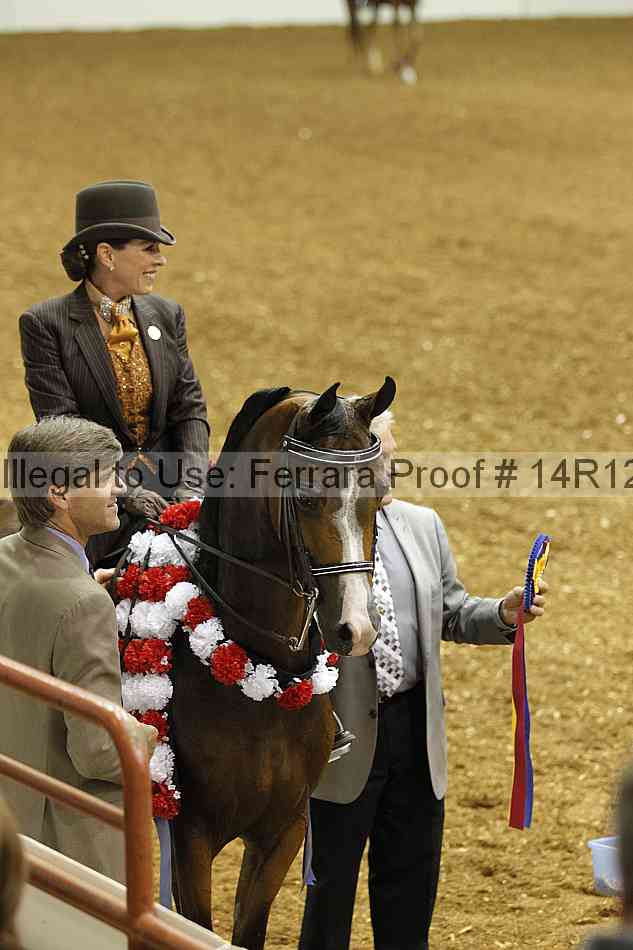 Proof Number 14r12_6117