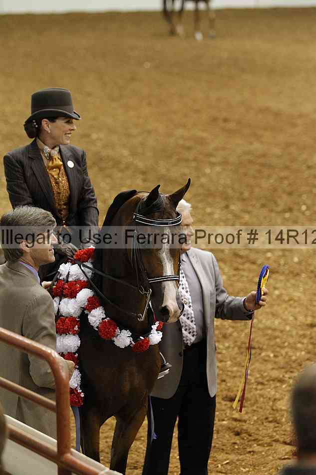 Proof Number 14r12_6118
