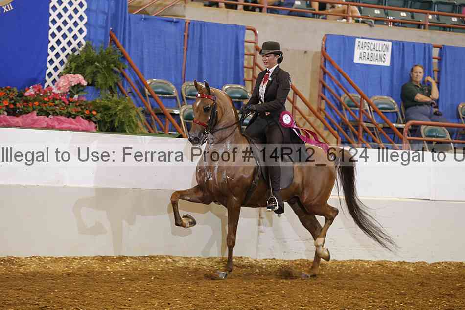 Proof Number 14r12_6124