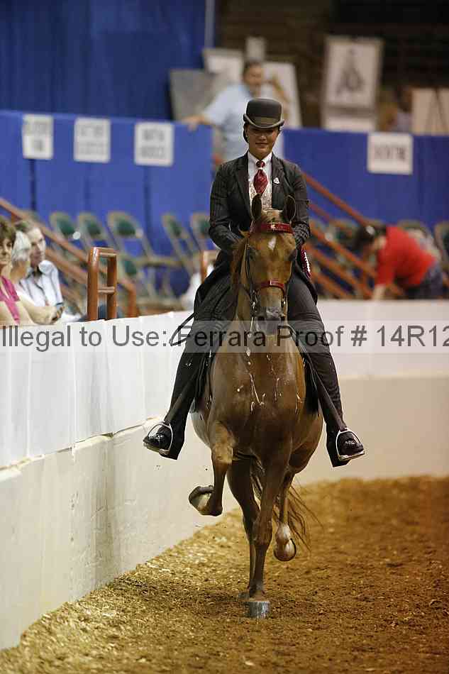 Proof Number 14r12_6125