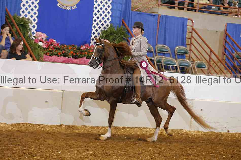 Proof Number 14r12_6128