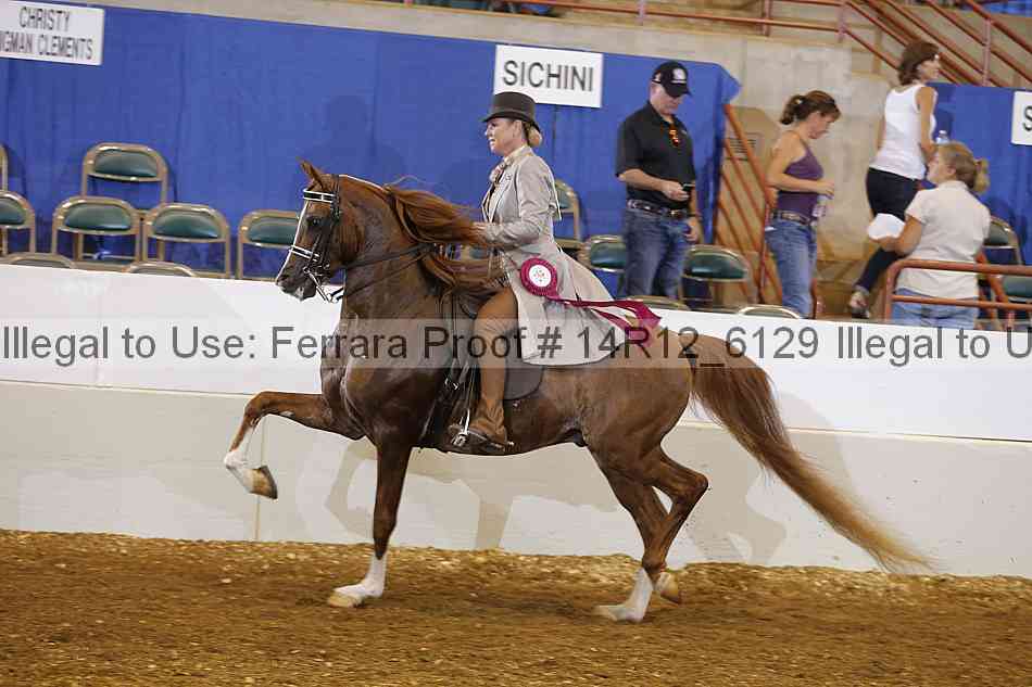 Proof Number 14r12_6129