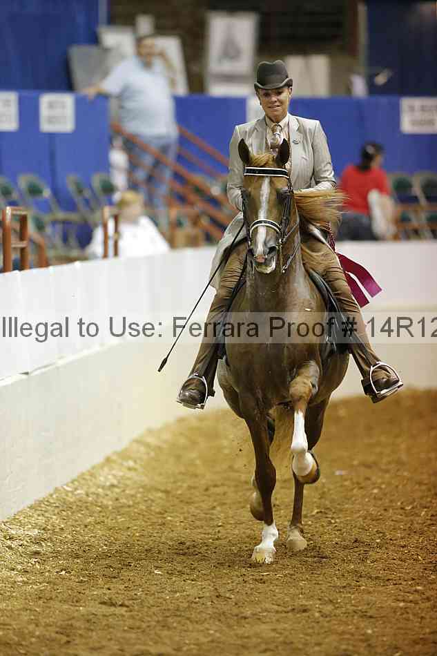 Proof Number 14r12_6130