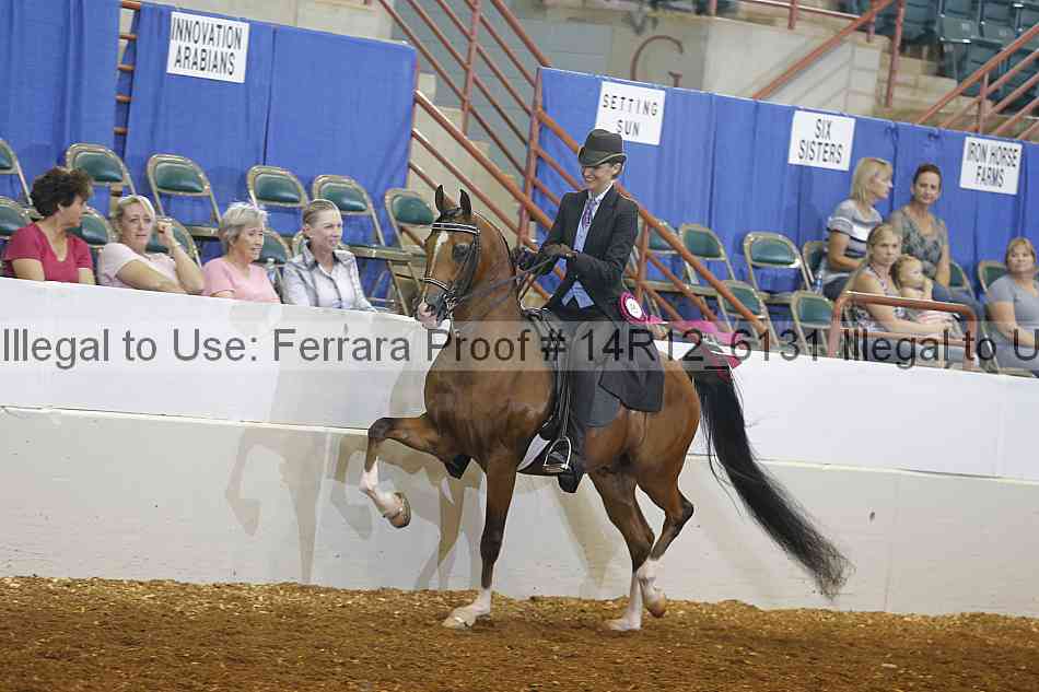 Proof Number 14r12_6131