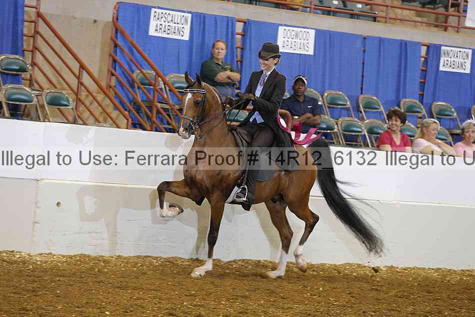 Proof Number 14r12_6132