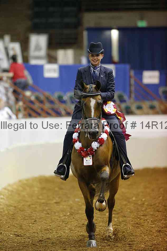 Proof Number 14r12_6138