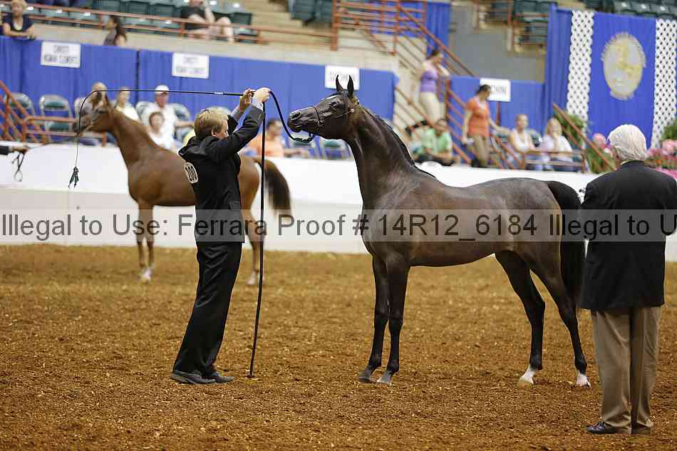 Proof Number 14r12_6184