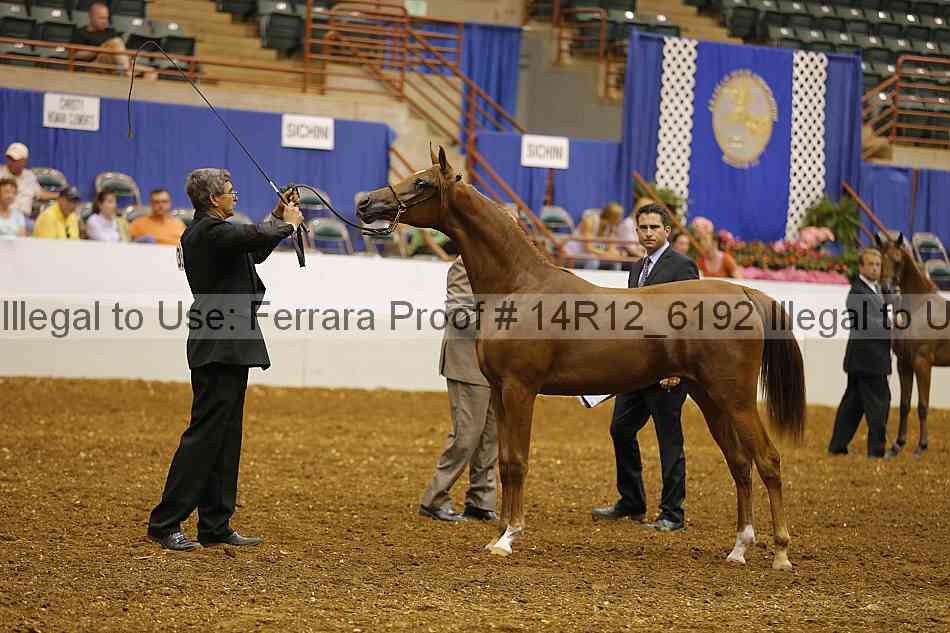 Proof Number 14r12_6192