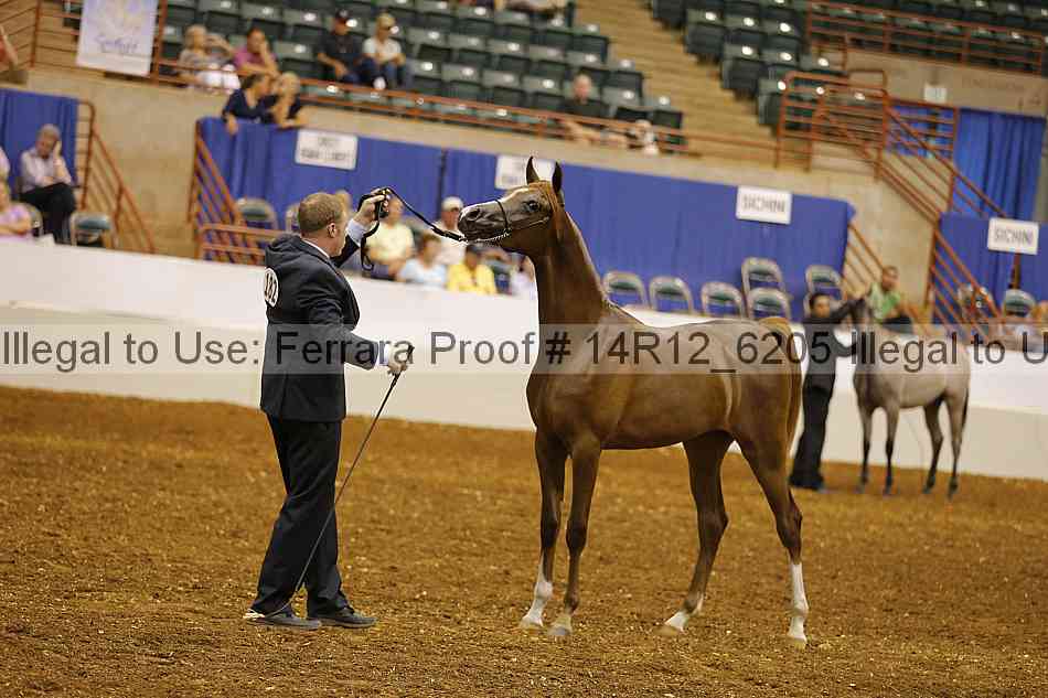 Proof Number 14r12_6205