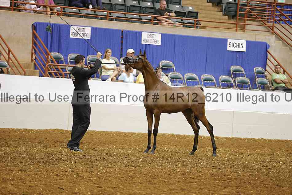 Proof Number 14r12_6210