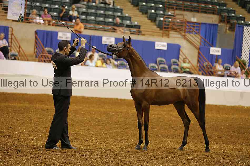 Proof Number 14r12_6213