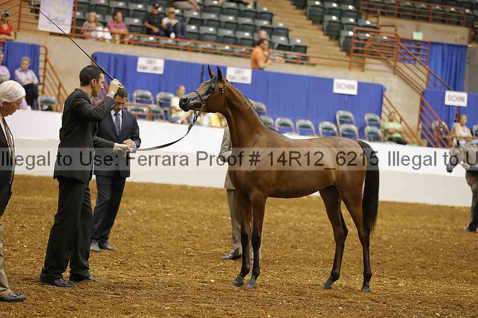 Proof Number 14r12_6215
