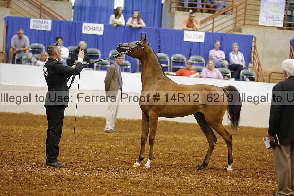 Proof Number 14r12_6219