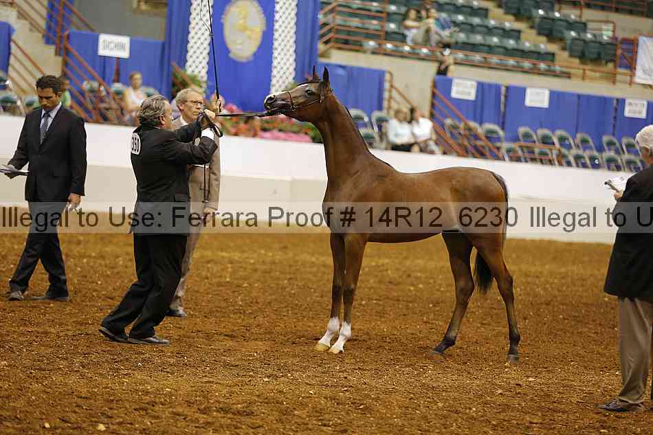 Proof Number 14r12_6230
