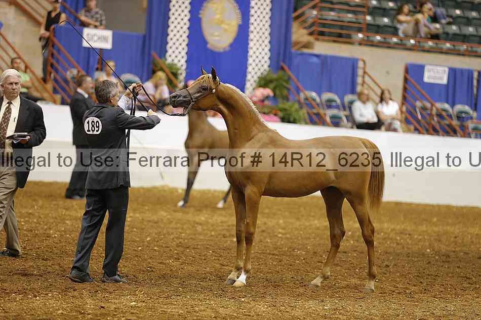 Proof Number 14r12_6235
