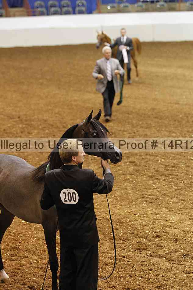 Proof Number 14r12_6253