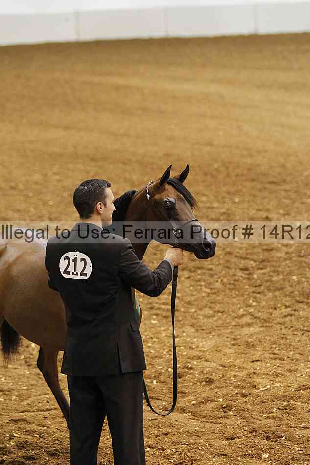 Proof Number 14r12_6255