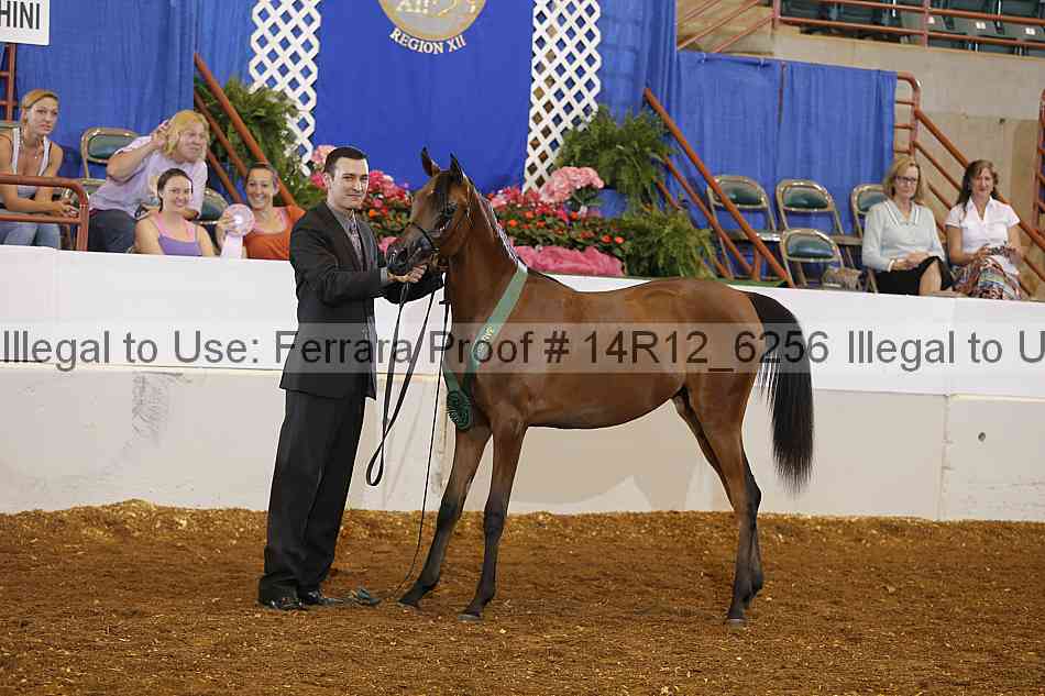 Proof Number 14r12_6256