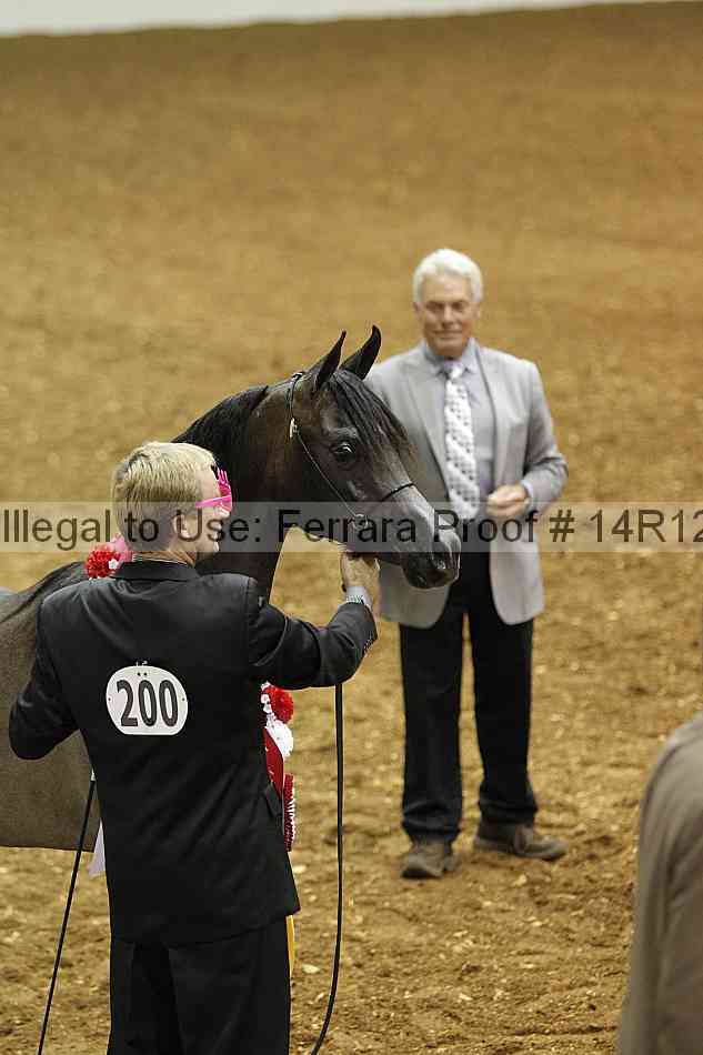 Proof Number 14r12_6271