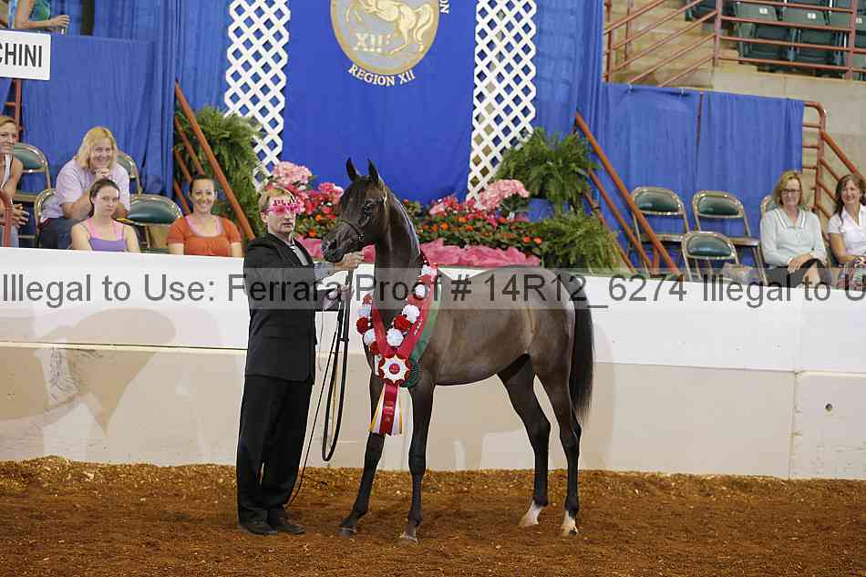 Proof Number 14r12_6274